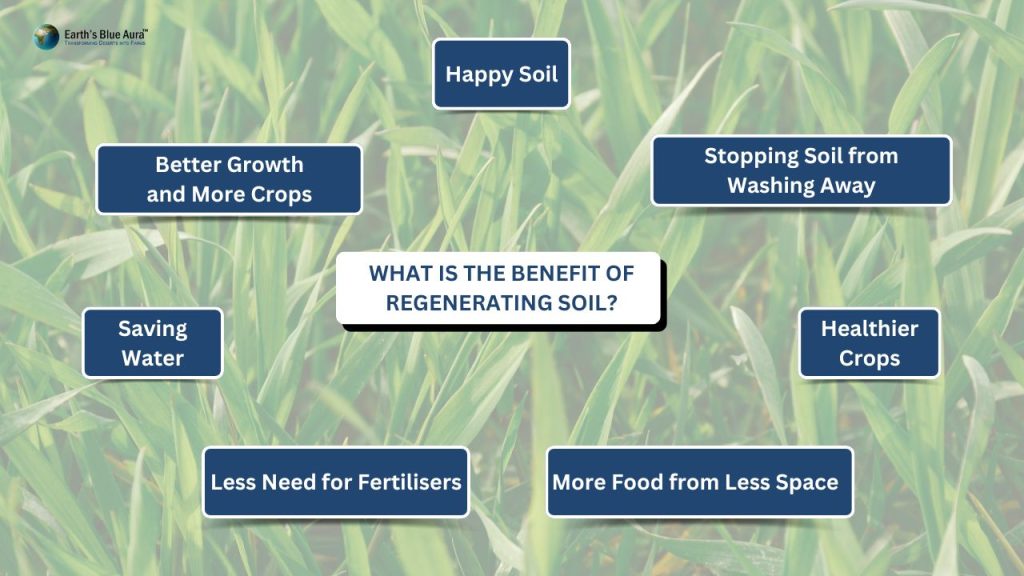 What Is The Benefit of Regenerating Soil?