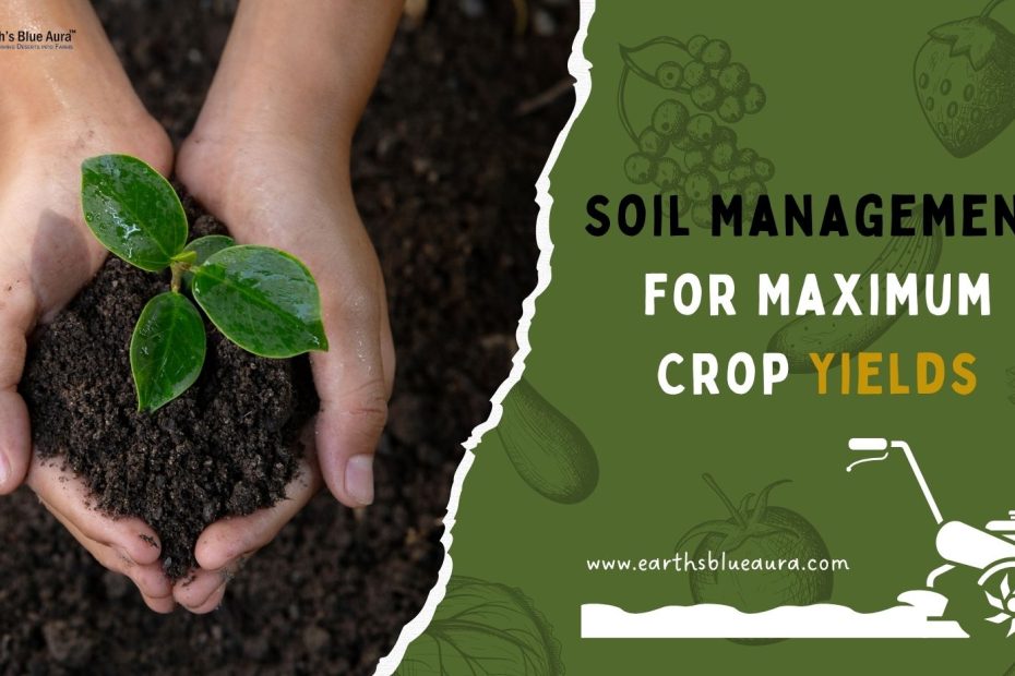 An Overview of Soil Management for Maximum Crop Yields