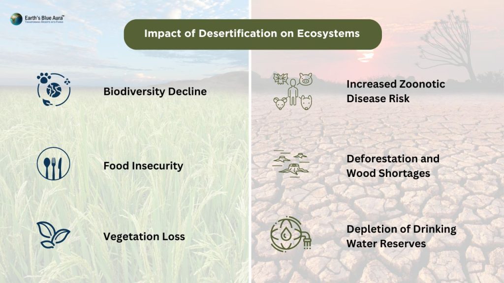 Impact of Desertification on Ecosystems