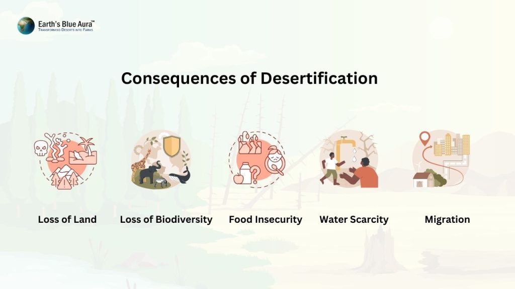 Consequences of Desertification