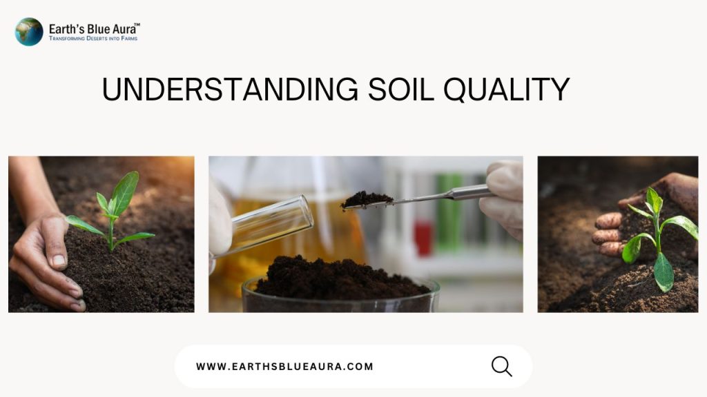Understanding Soil Quality 