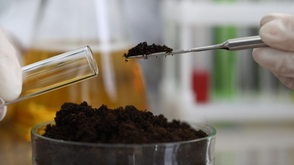 Soil Quality and Management