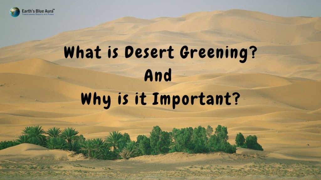 What is Desert Greening? and Why is it Important? 