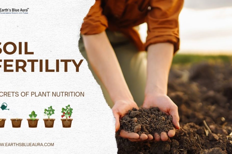 Soil Fertility: Secrets of Plant Nutrition