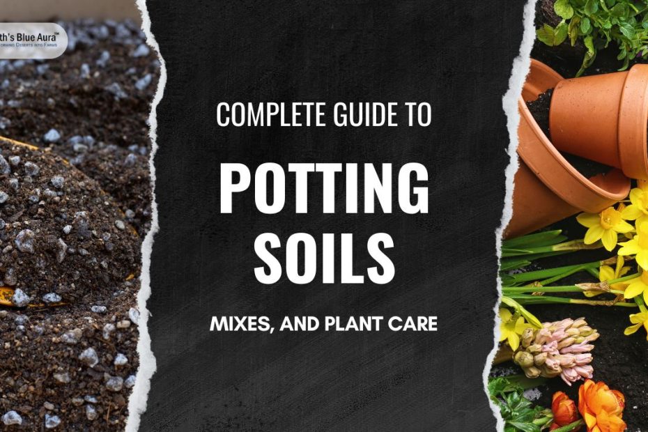 Complete Guide to Potting Soils, Mixes, and Plant Care