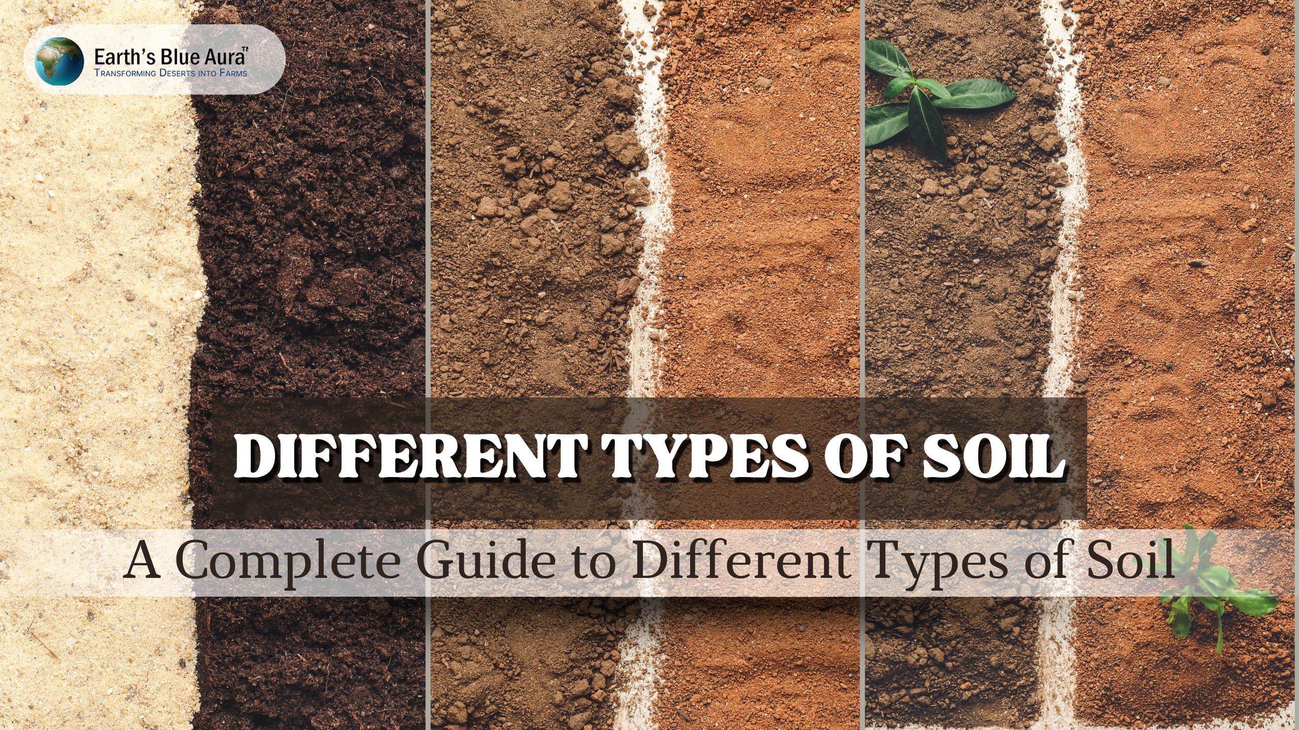 A Complete Guide to Different Types of Soil