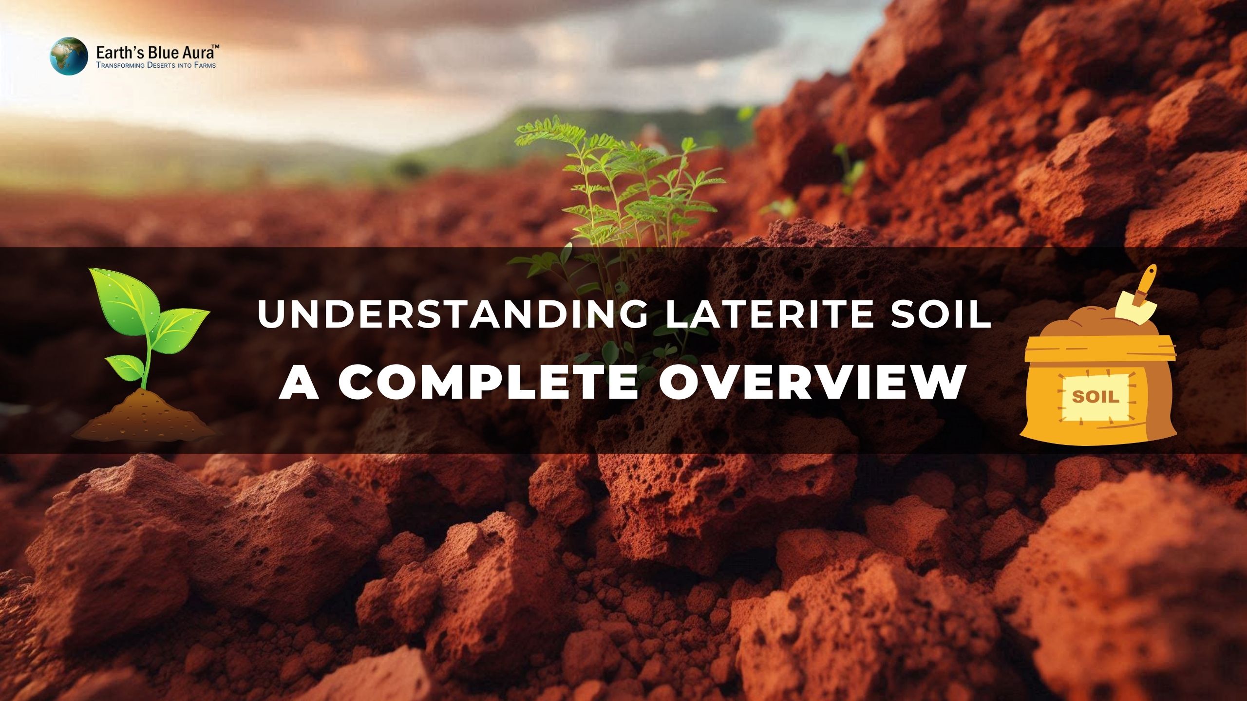 Understanding Laterite Soil: A Complete Overview