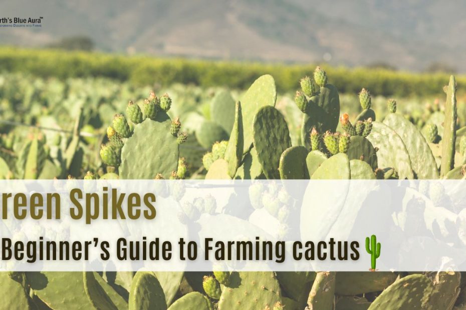 Green Spikes: A Beginner’s Guide to Farming cactus