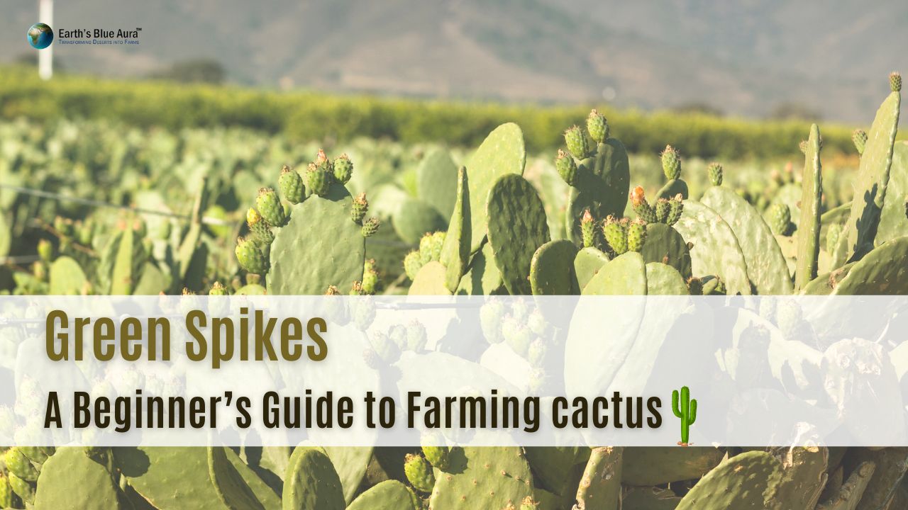 Green Spikes: A Beginner’s Guide to Farming Cactus