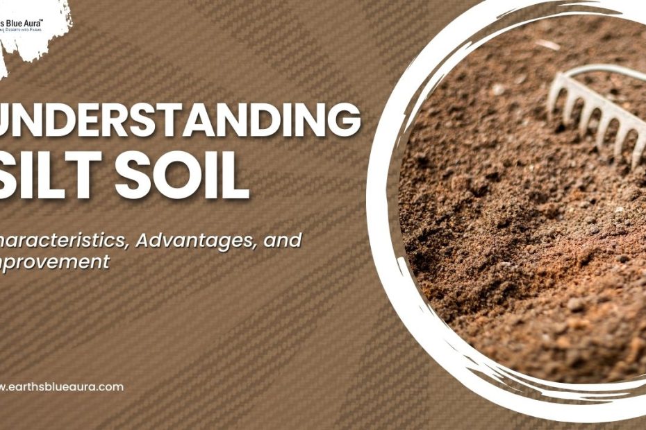 Understanding Silt Soil: Characteristics, Advantages, and Improvement